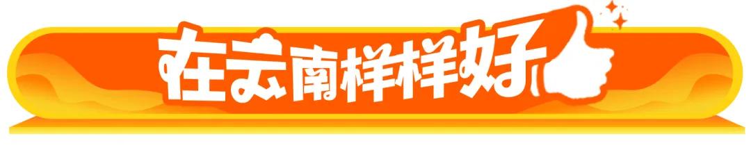 在云南样样好丨3、2、1，上链接！“地边花”变身爆单“金莲花”