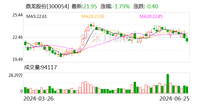 鼎龙股份预计上半年净利同比增长110%至130% 产品市占率显著提升  第1张