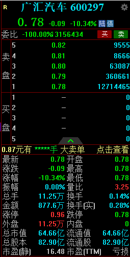 广汇汽车、广汇转债竞价双双跌停