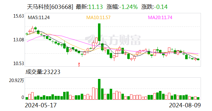 天马科技：向福清星马增资人民币1.7亿元  第1张