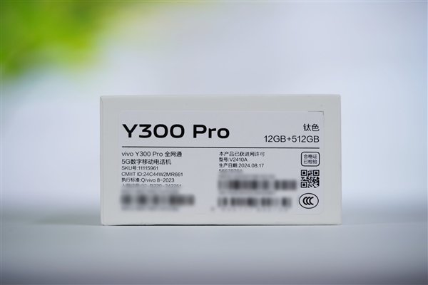 vivo第一款等深四曲屏手机！vivo Y300 Pro图赏  第26张