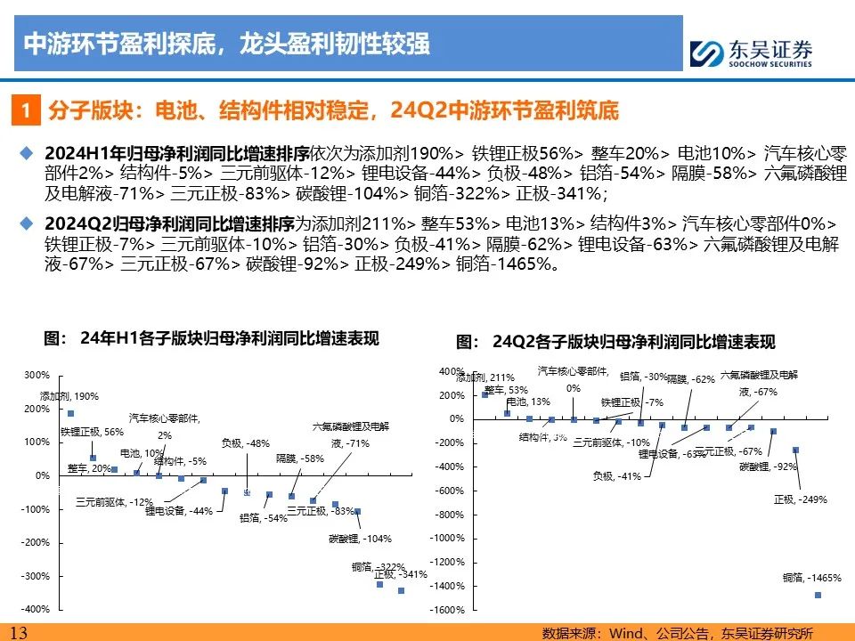 【东吴电新】电动车24Q2财报总结：整车与电池环节依然强势，龙头穿越周期  第13张