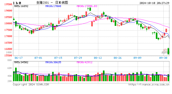 每日猪讯10.10  第2张